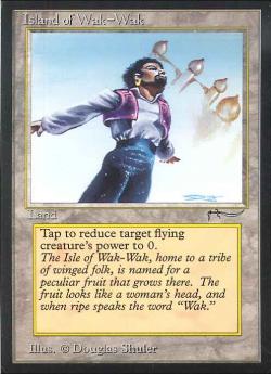 PSA鑑定済み Arabian Nights Booster Pack【BIGWEB | MTG】日本最大級