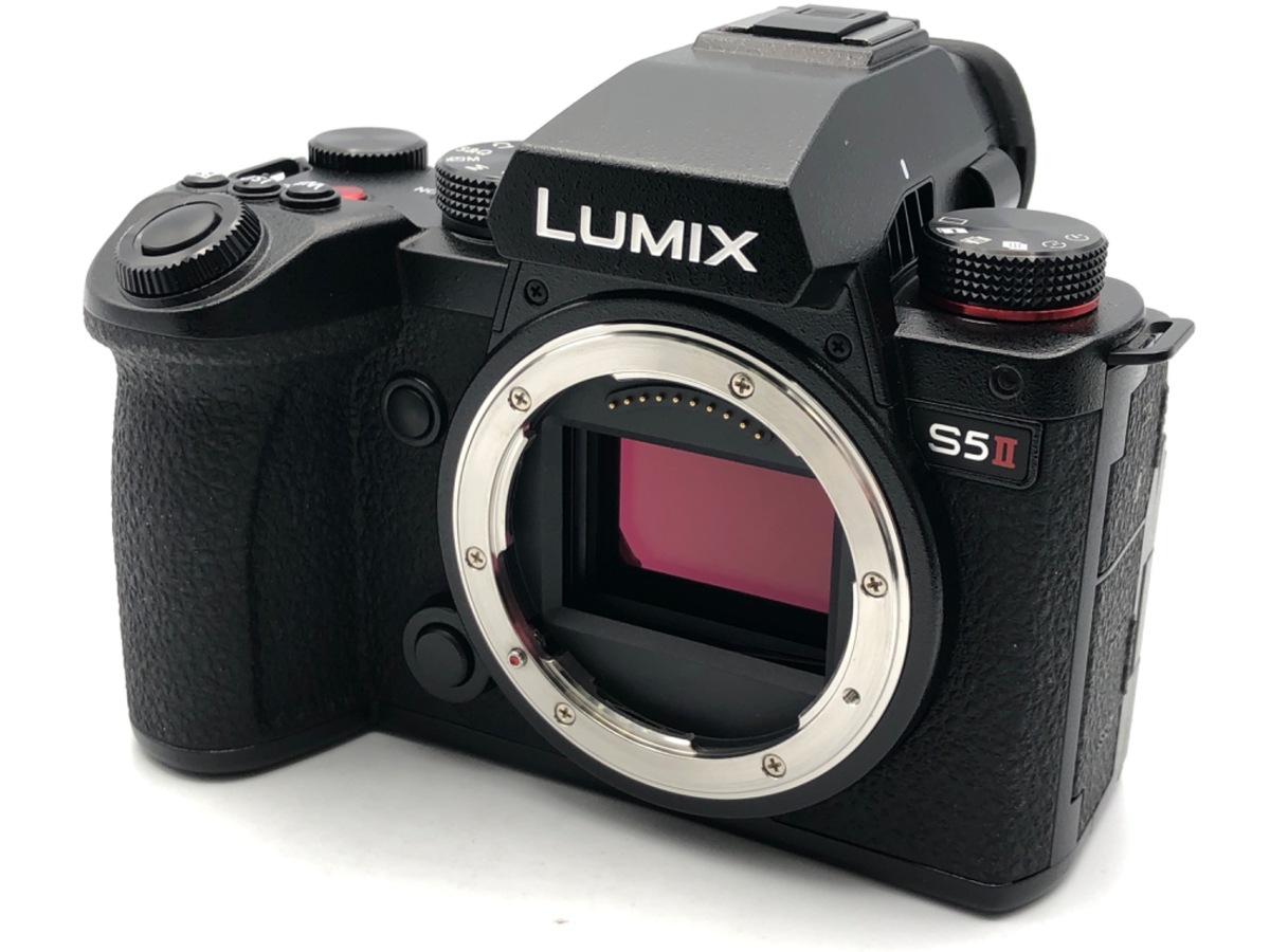 価格.com - パナソニック LUMIX DMC-GH1 ボディ 純正オプション