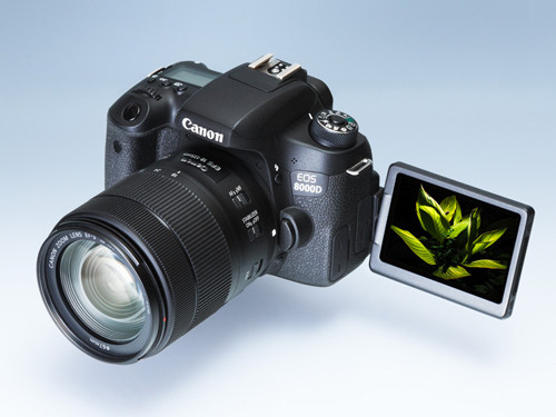 その出会い、その時を、美しく鮮明に描く。プレミアムエントリー一眼