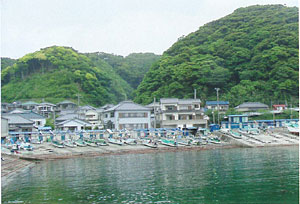 日本財団図書館（電子図書館） 千葉県立安房博物館 平成17年度企画展