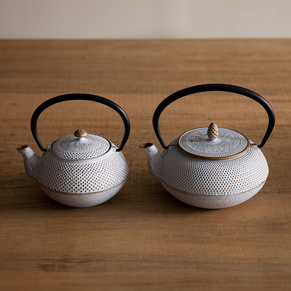 南部鉄器 急須 アラレ 0.4L 5種 ｜のレン神楽坂【公式通販】発酵