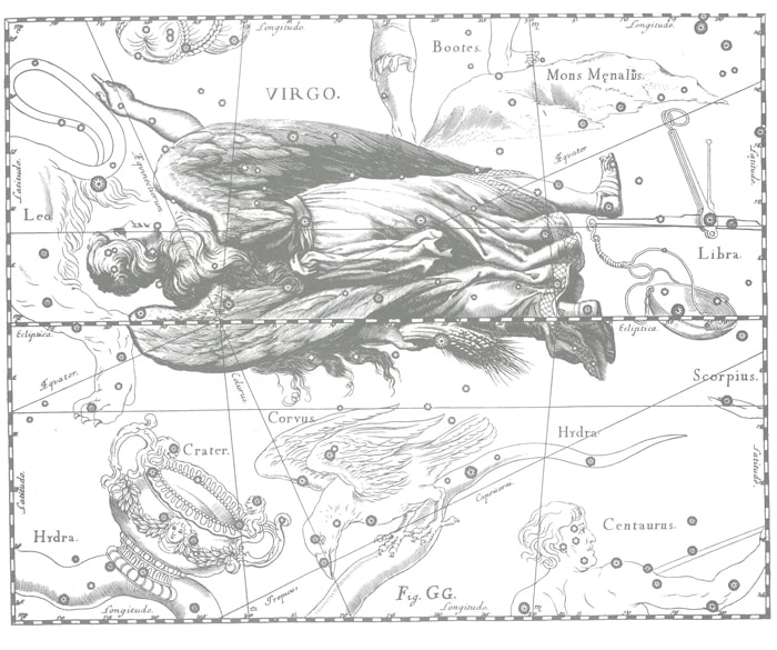 大人が楽しめる図鑑。想像力をかきたてる美しい博物誌 | nostos books