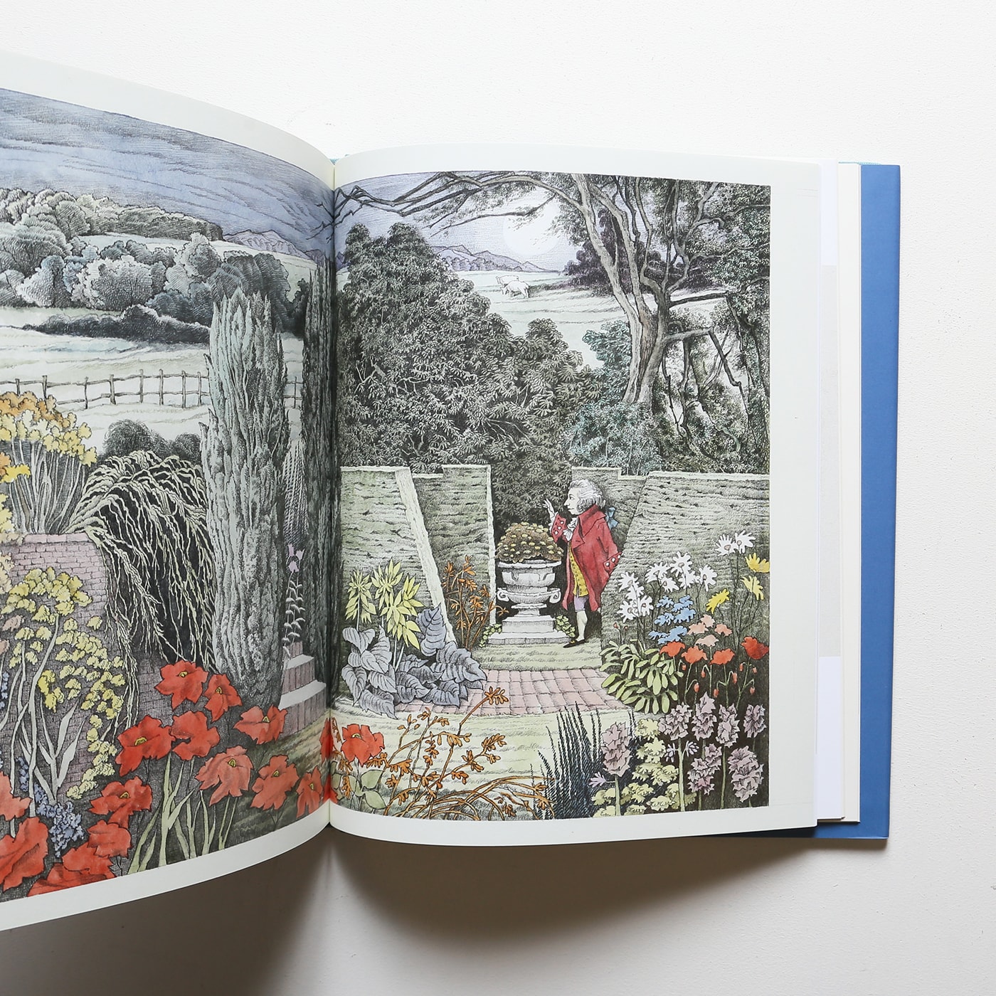 Wild Things Are Happening: The Art of Maurice Sendak | モーリス