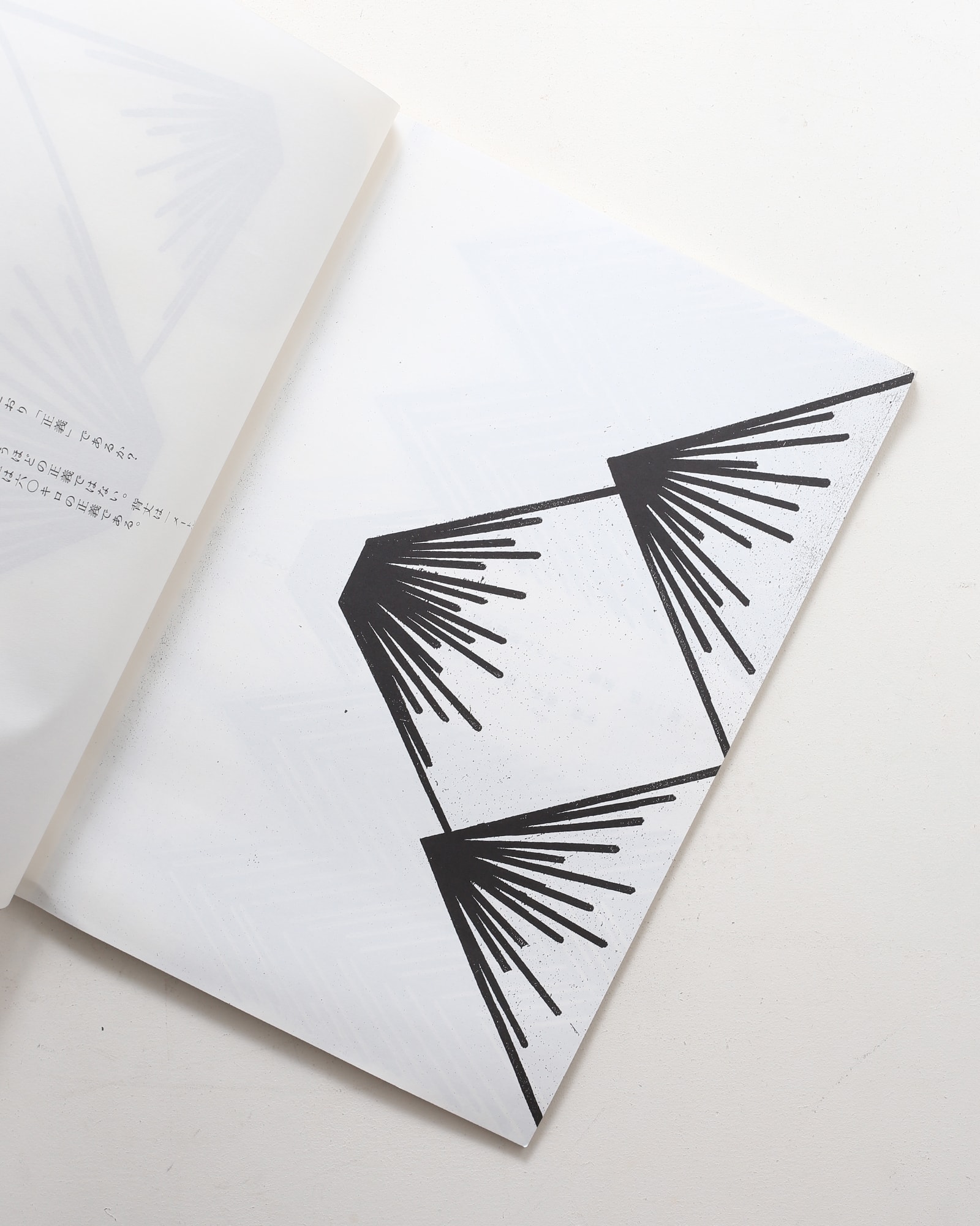 仲條のフジのヤマイ | 仲條正義 | nostos books ノストスブックス