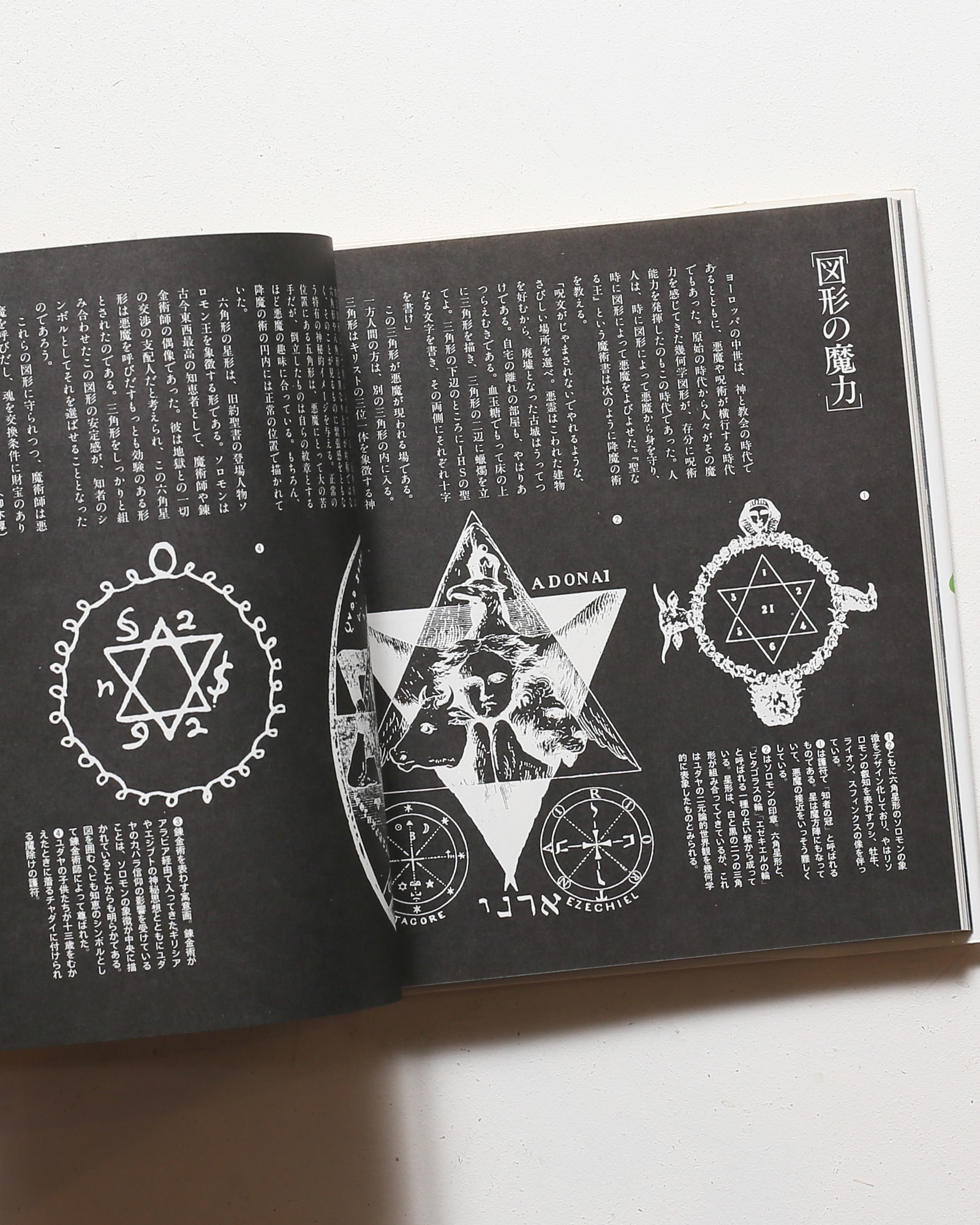 遊びの百科全書 全10巻揃 | nostos books ノストスブックス