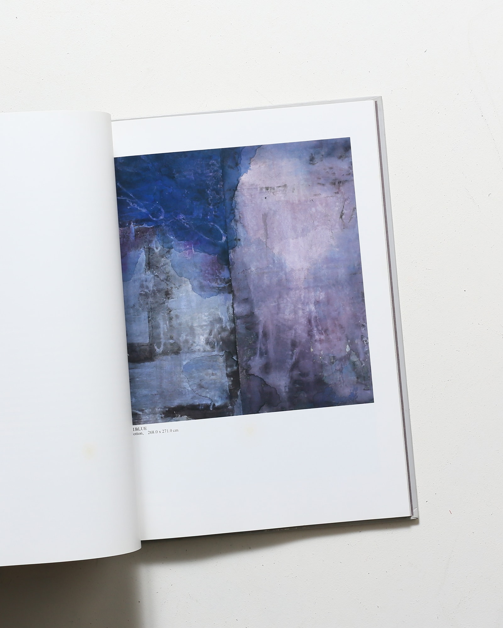 ArT RANDOM 1 Shinro Ohtake 大竹伸朗: America | 京都書院 | nostos