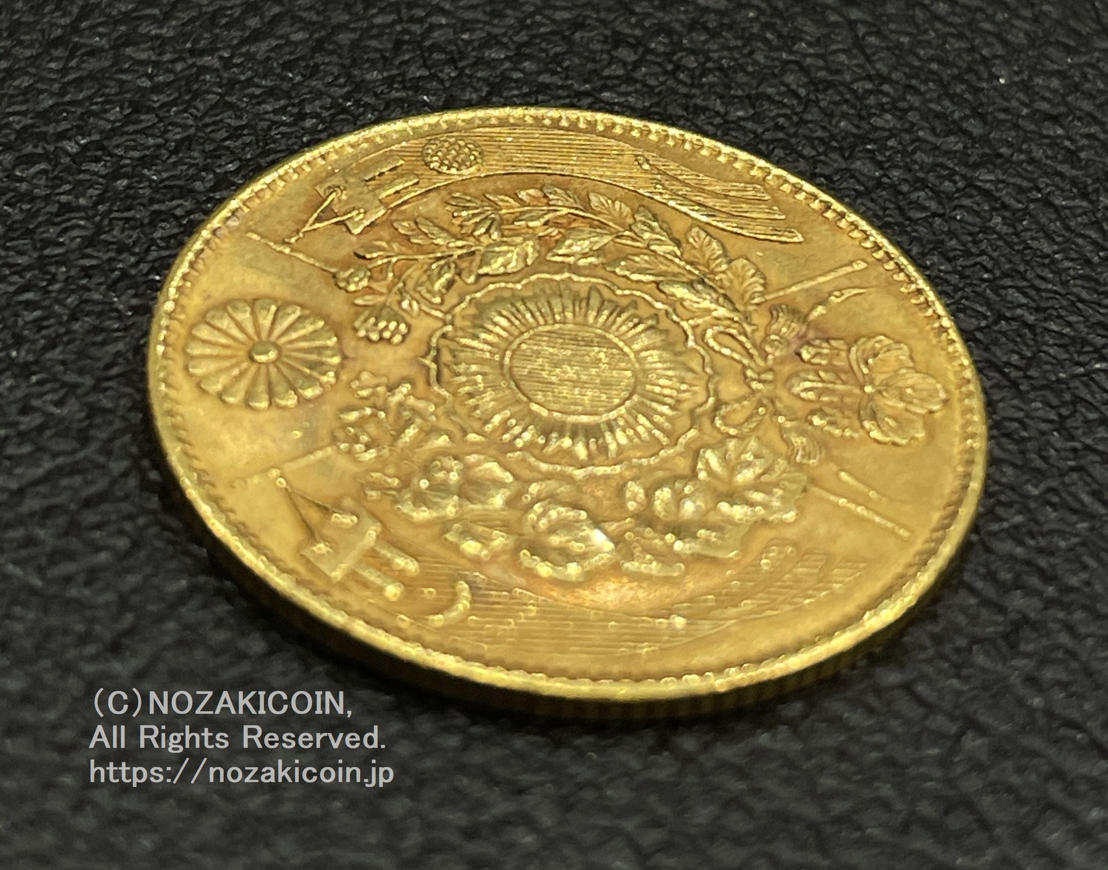 IMG_5813.jpg?v=1700903518