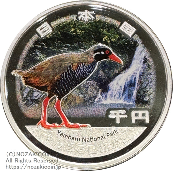 IMG_9107_600x.jpg?v=1728118437