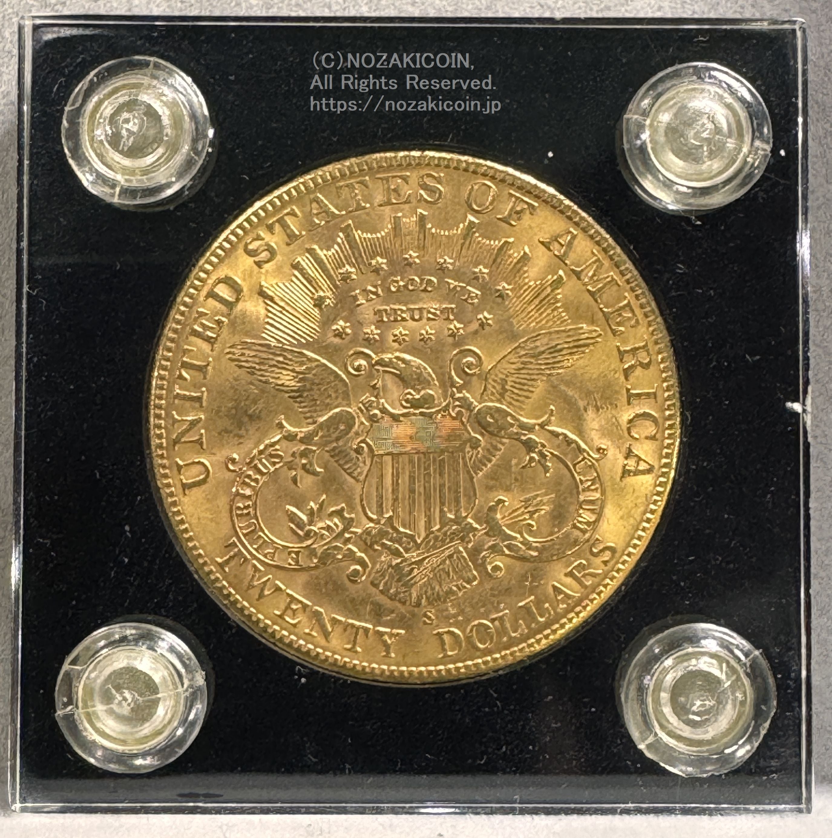 IMG_9591.jpg?v=1732266729