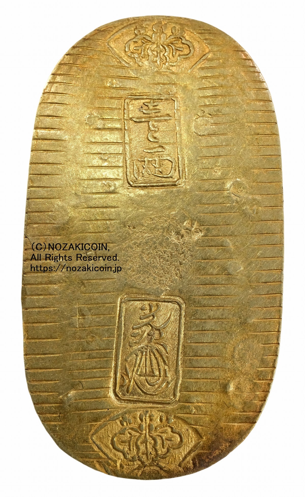 s-DSCF0759_1_1200x.jpg?v=