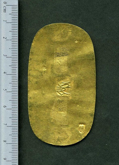 img_20b327_1_400x.jpg?v=1689653157