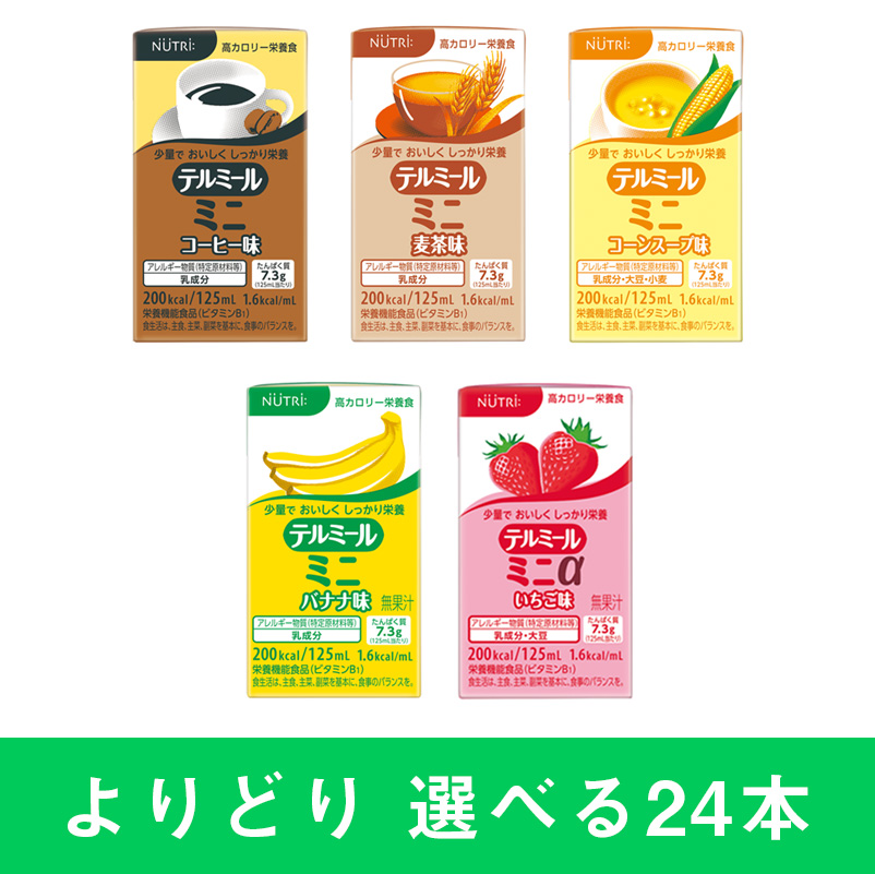 テルミールミニ、テルミールミニα(アルファ)/1箱24本入り｜ニュー