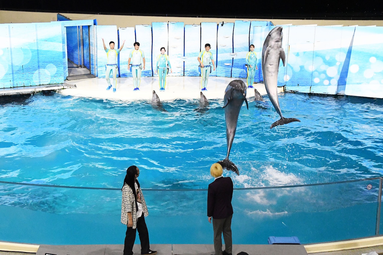 真空ジェシカVSイルカ」アーカイブ配信スタート - お笑いナタリー