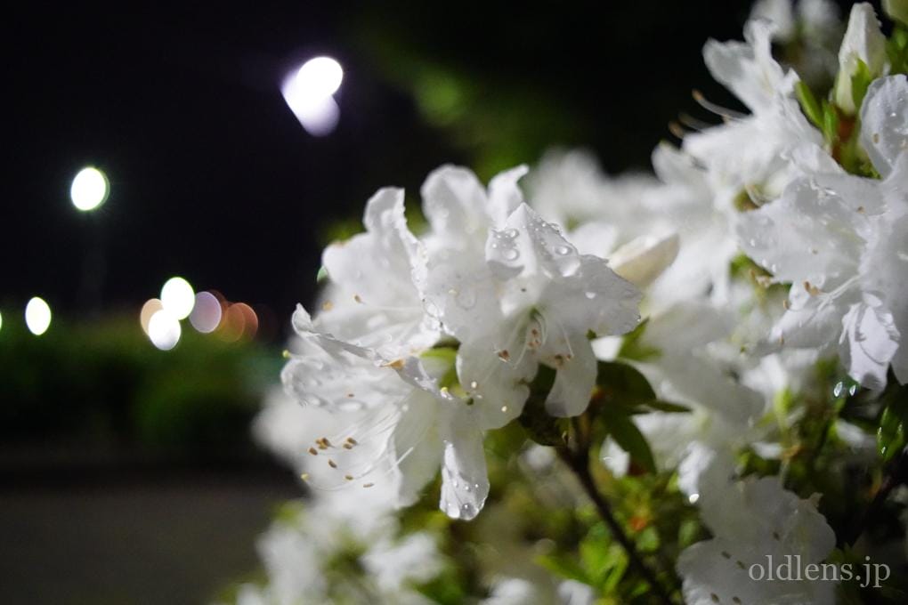 PENTACON auto MC 29mm F2.8 M42 Review作例 クセ玉おすすめ広角