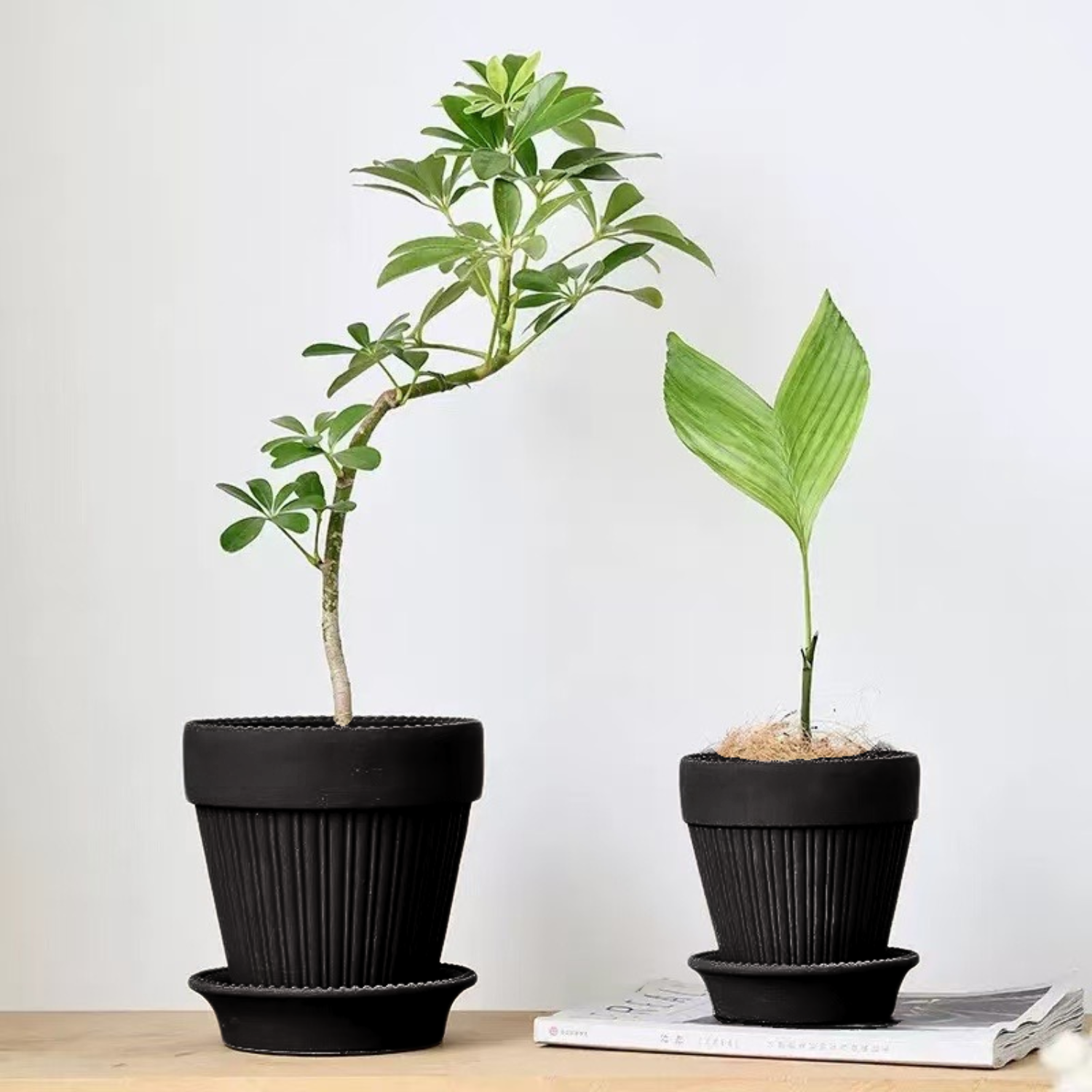 PCP-39_9.png?v=1749705002&