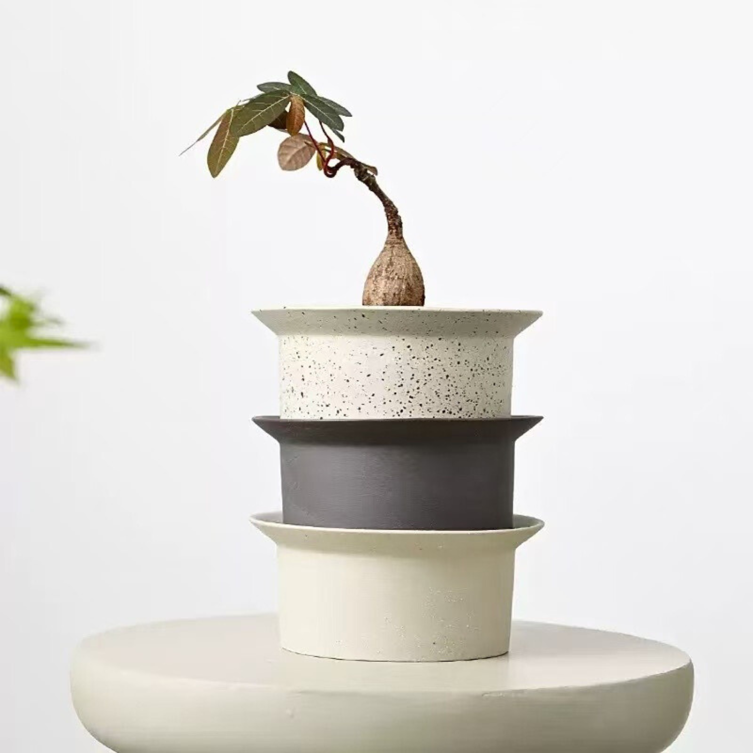 3号｜おしゃれな陶器鉢｜背の低い｜受け皿付｜ハットさん｜北欧｜S