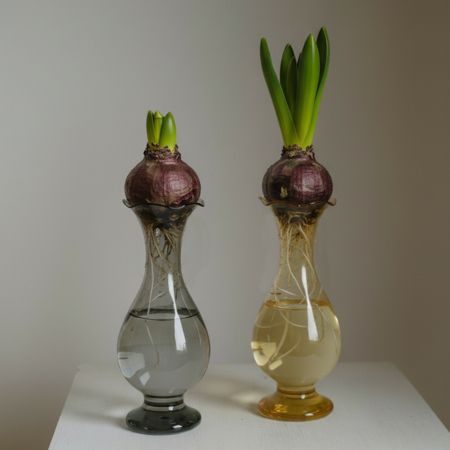 ガラスの花瓶｜一輪挿し｜おしゃれ｜かわいい｜シンプル｜室内｜ふち