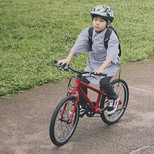 RITEWAY ( ライトウェイ ) キッズバイク ZIT 20 ( ジット 20 ) マット