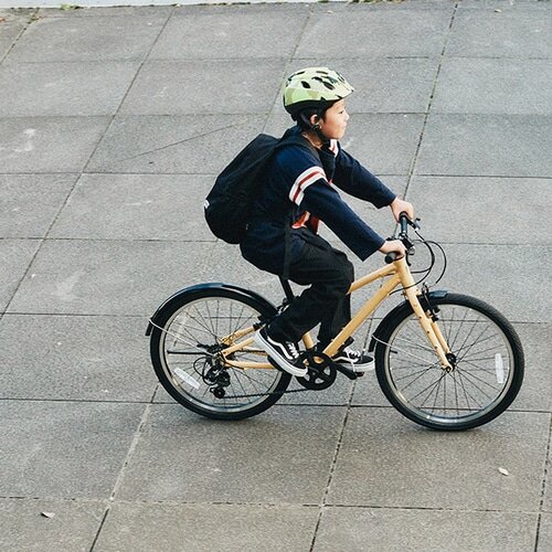 RITEWAY ( ライトウェイ ) キッズバイク ZIT 22 ( ジット 22 ) マット