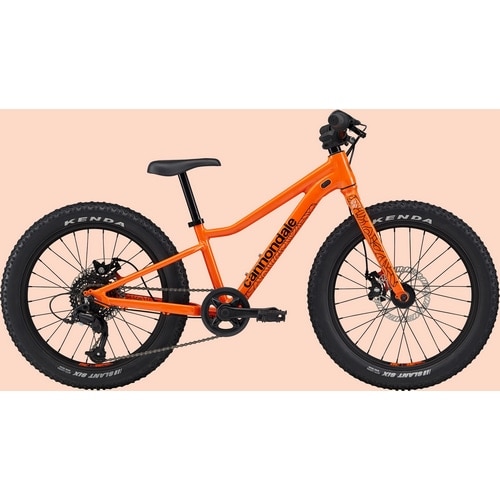 CANNONDALE ( キャノンデール ) キッズバイク KIDS TRAIL PLUS 20