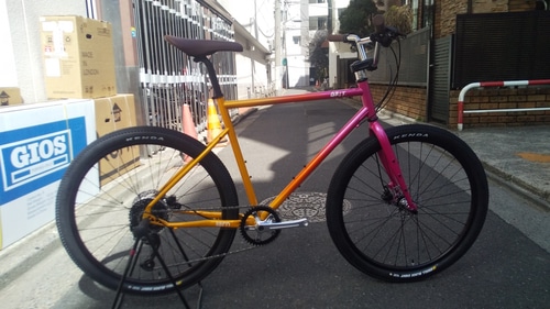 TERN ( ターン ) ミニベロ（小径車） GRIT ( グリット ) レイジ