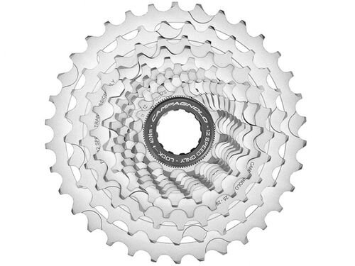 Campagnolo ( カンパニョーロ ) スプロケット SUPER RECORD ( スーパー