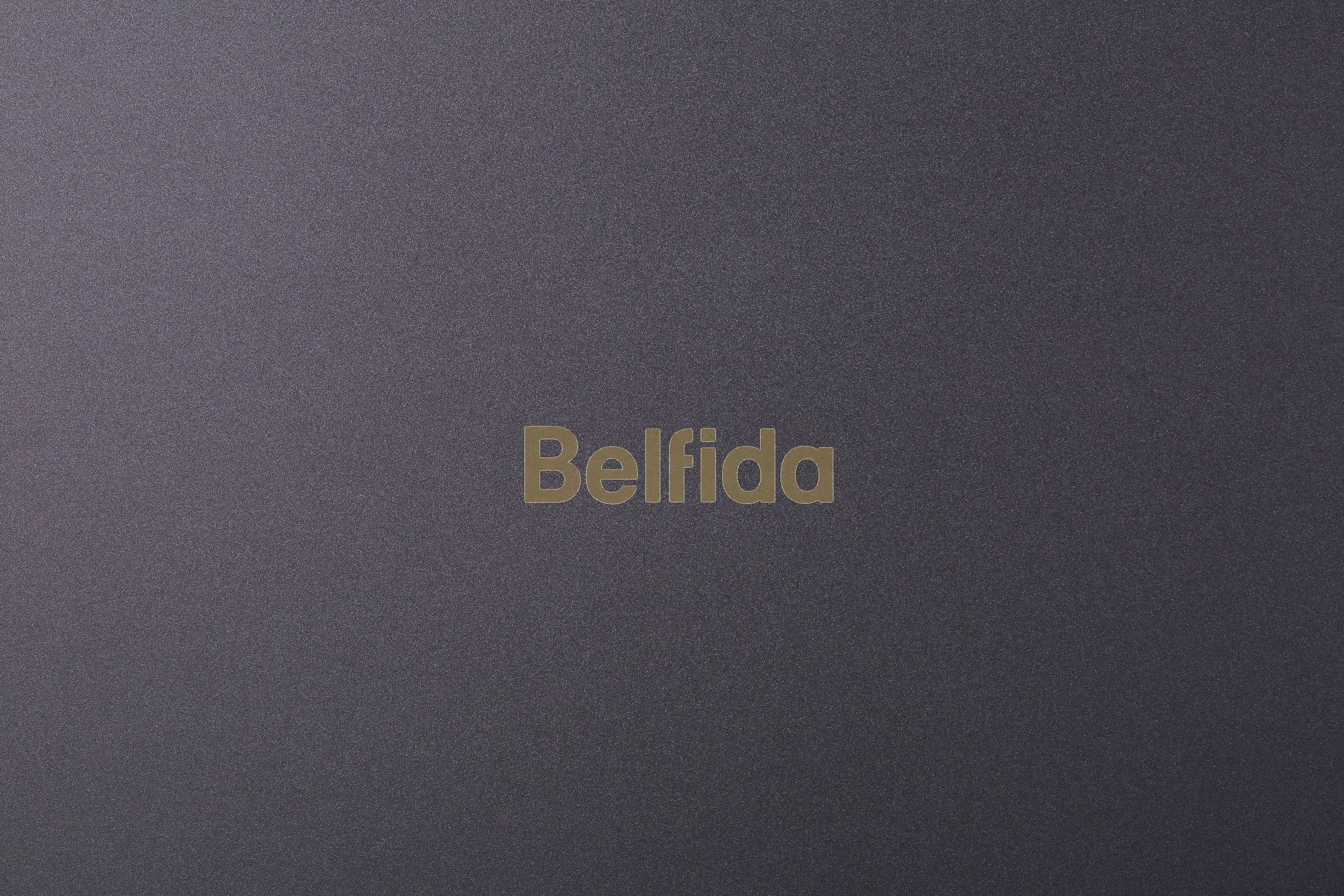Belfida ONE（双方向タブレット型ワイヤレスモニター）