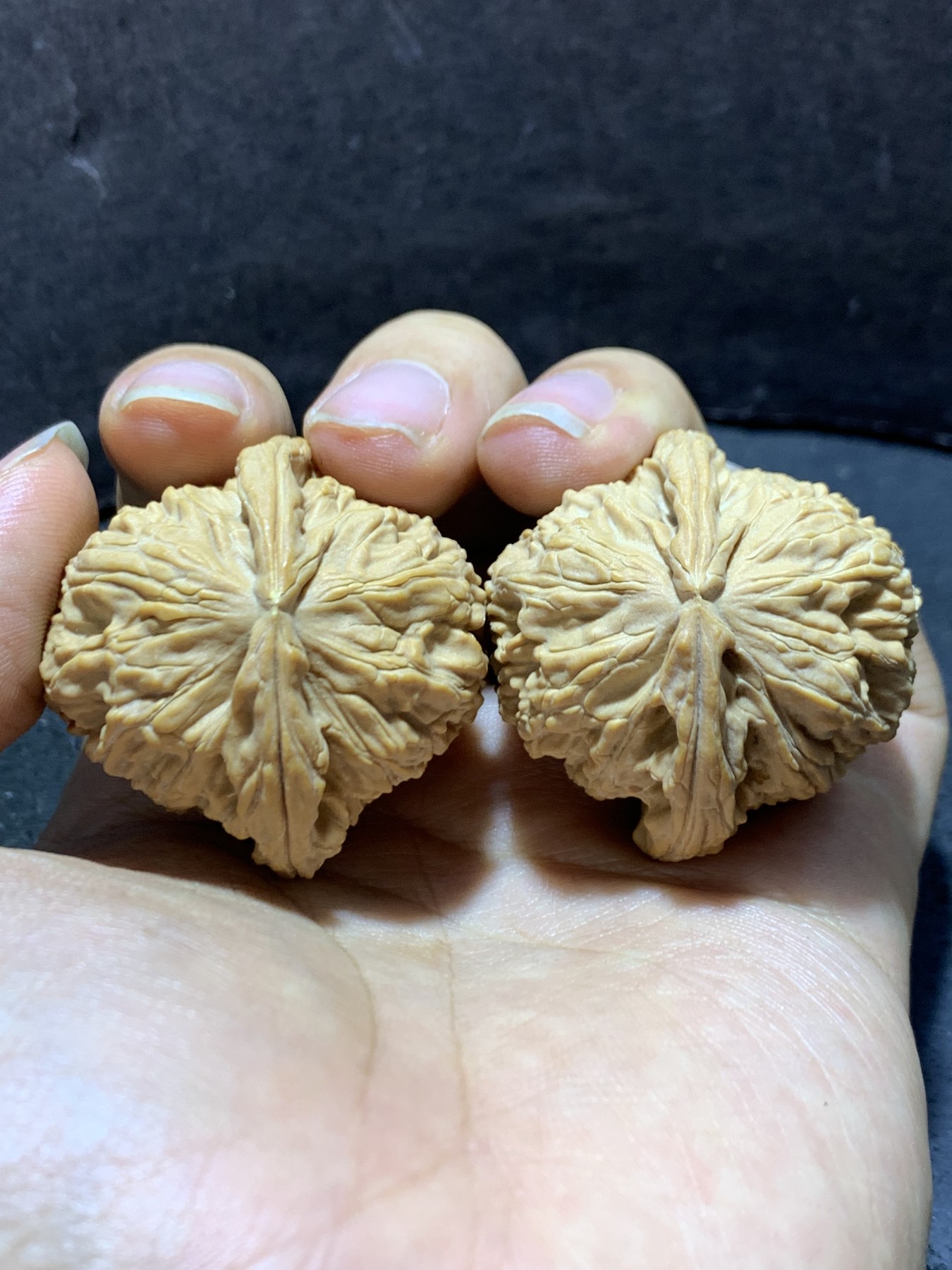 精美老树自然桩三角白狮子头文玩核桃一对！ - 文玩乐园- 文玩乐园- 麦稀奇