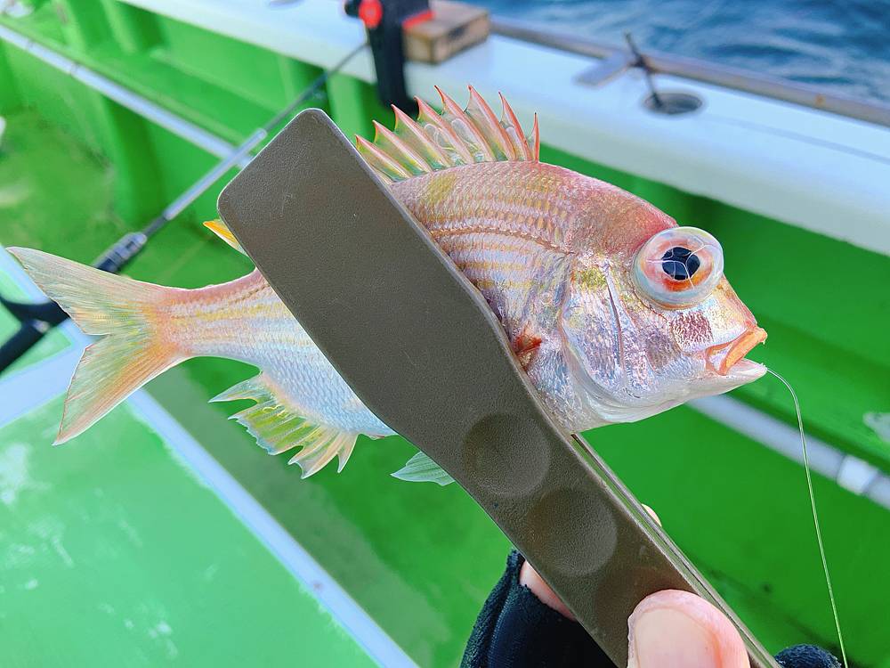 アマダイの釣り針はオーナーで決まり！「OH甘鯛（Wケン）」「イン