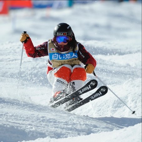 スキーシミュレーター 中古 切れゴム有 スキー オフトレ アルペン