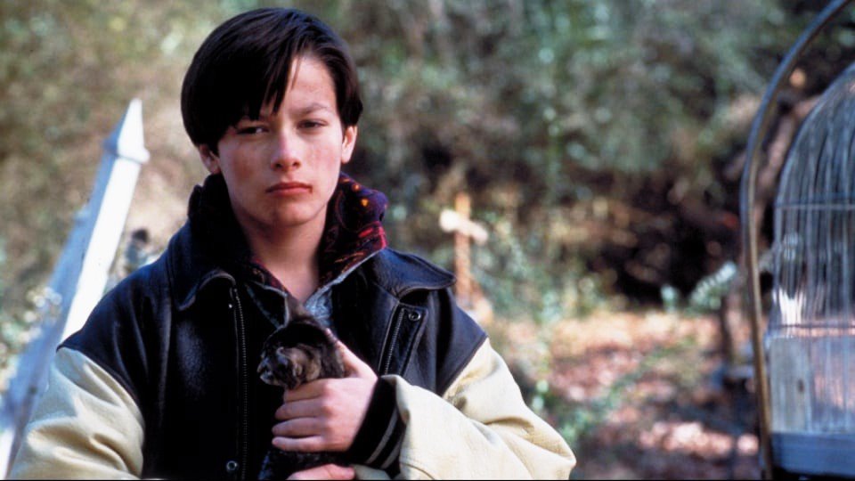 ペット・セメタリー2