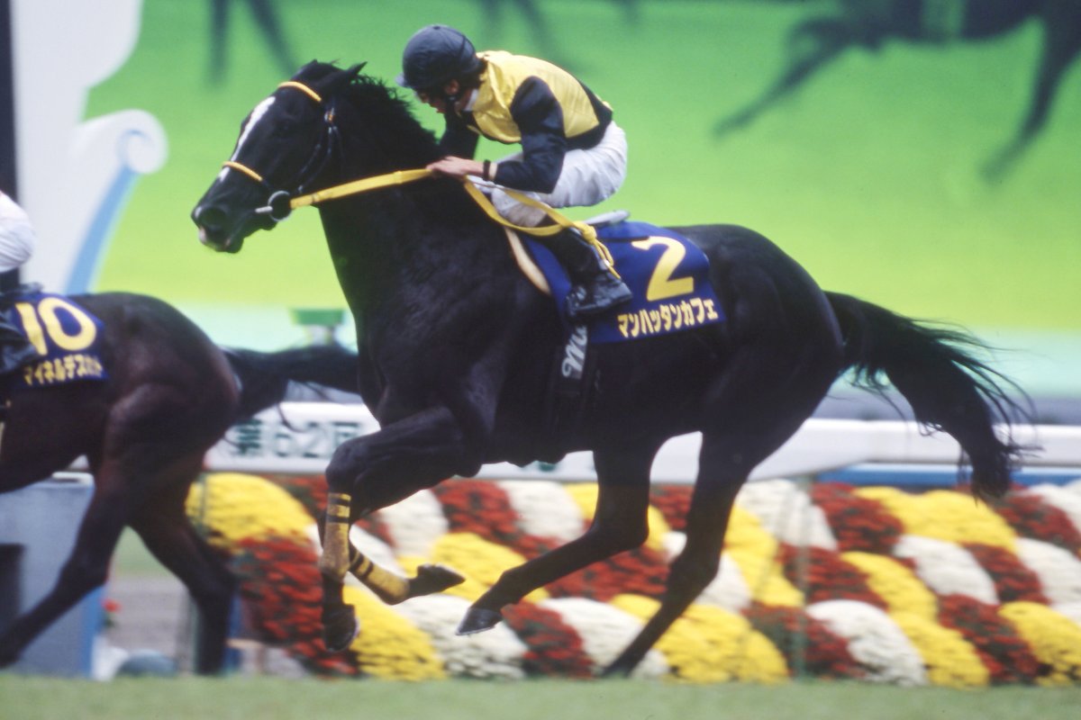 現役時代に菊花賞、有馬記念、天皇賞(春)と長距離G1を3勝した