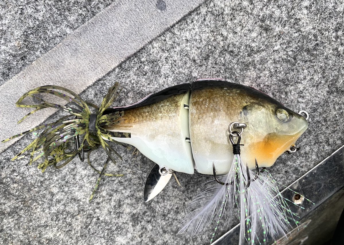 生き物のような艶かしいアクションのジョイントゾーイ じっくりと