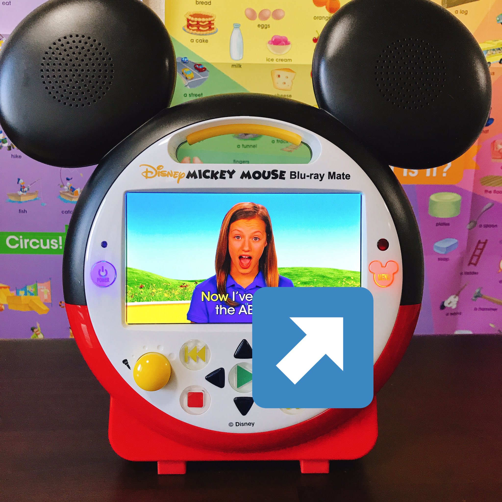 2024年10月購入 DWEディズニー英語システム ミッキーメイトBlu-ray