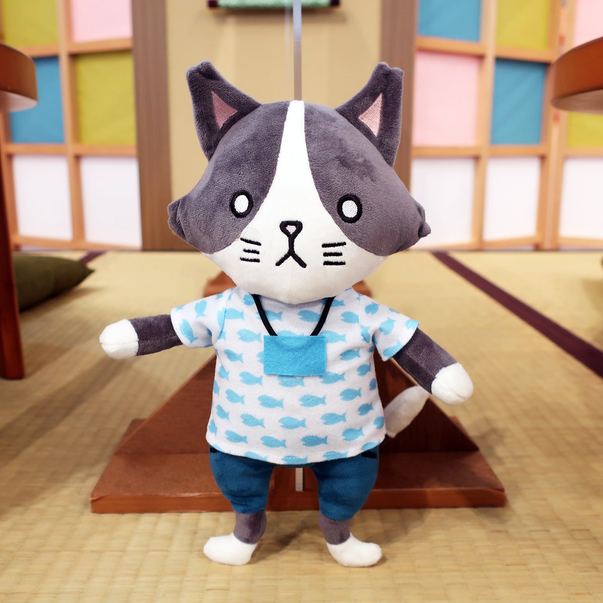 ☆あと1週間の限定販売☆】 #tvkショップ で受注販売中の #猫ひた