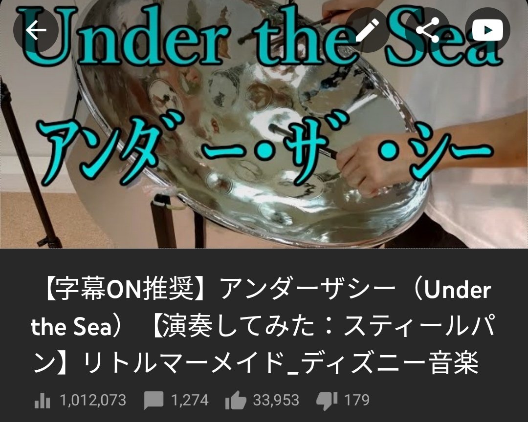 SONOBEのスティールパン❣️15音‼️なんて不思議な音なの❓懐かしいよう