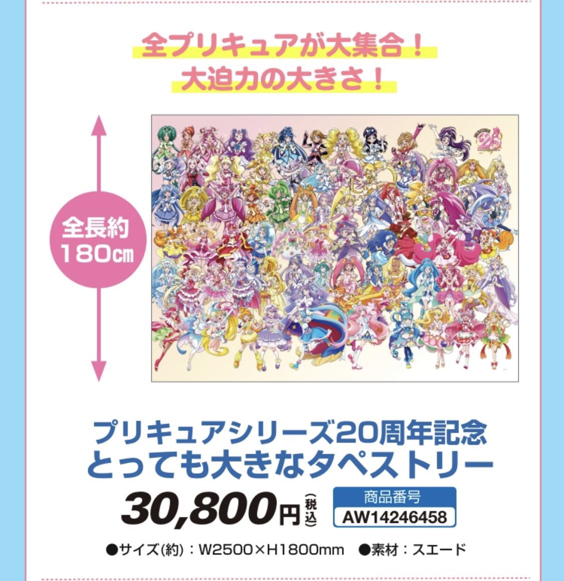 プリキュアシリーズ20周年記念】 ・ビッグサイズぬいぐるみ(全長約45cm