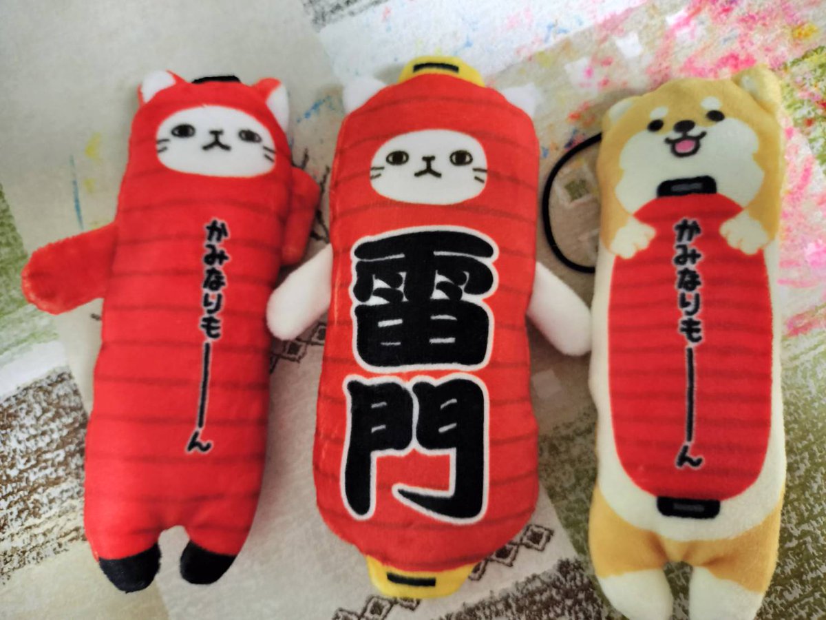 のびねこ旅 浅草に行ってきました！ 福光屋というところに 雷門のび