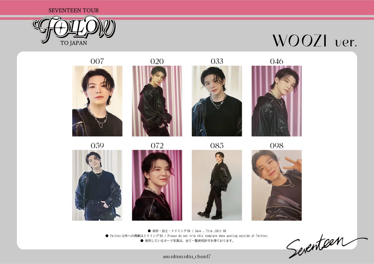 SEVENTEEN TOUR 「 FOLLOW 」TO JAPAN ・JUN ・HOSHI ・WONWOO ・WOOZI