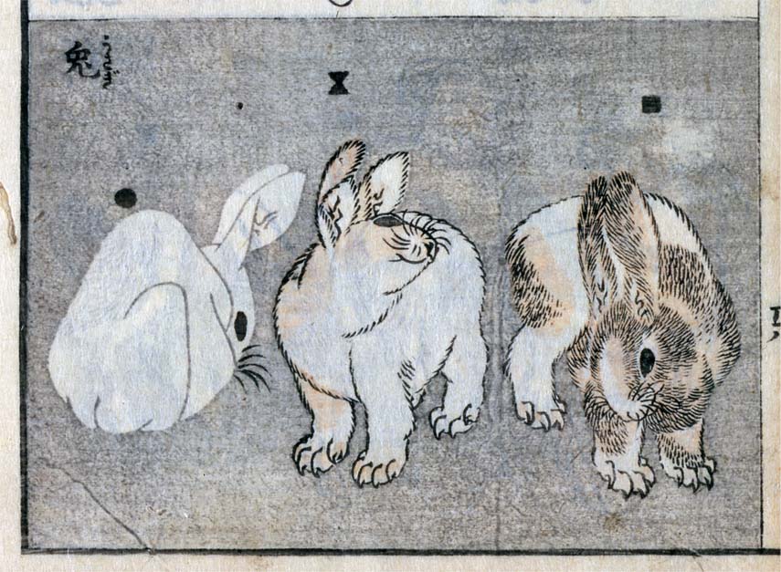 3月3日は ＃うさぎの日 とのことで、葛飾北斎のウサギをご紹介。『三