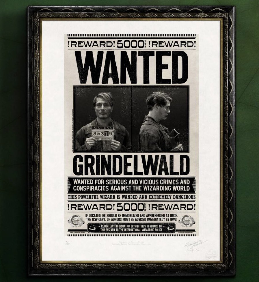 ミナリマ が #ファンタスティックビースト とダンブルドアの秘密のため