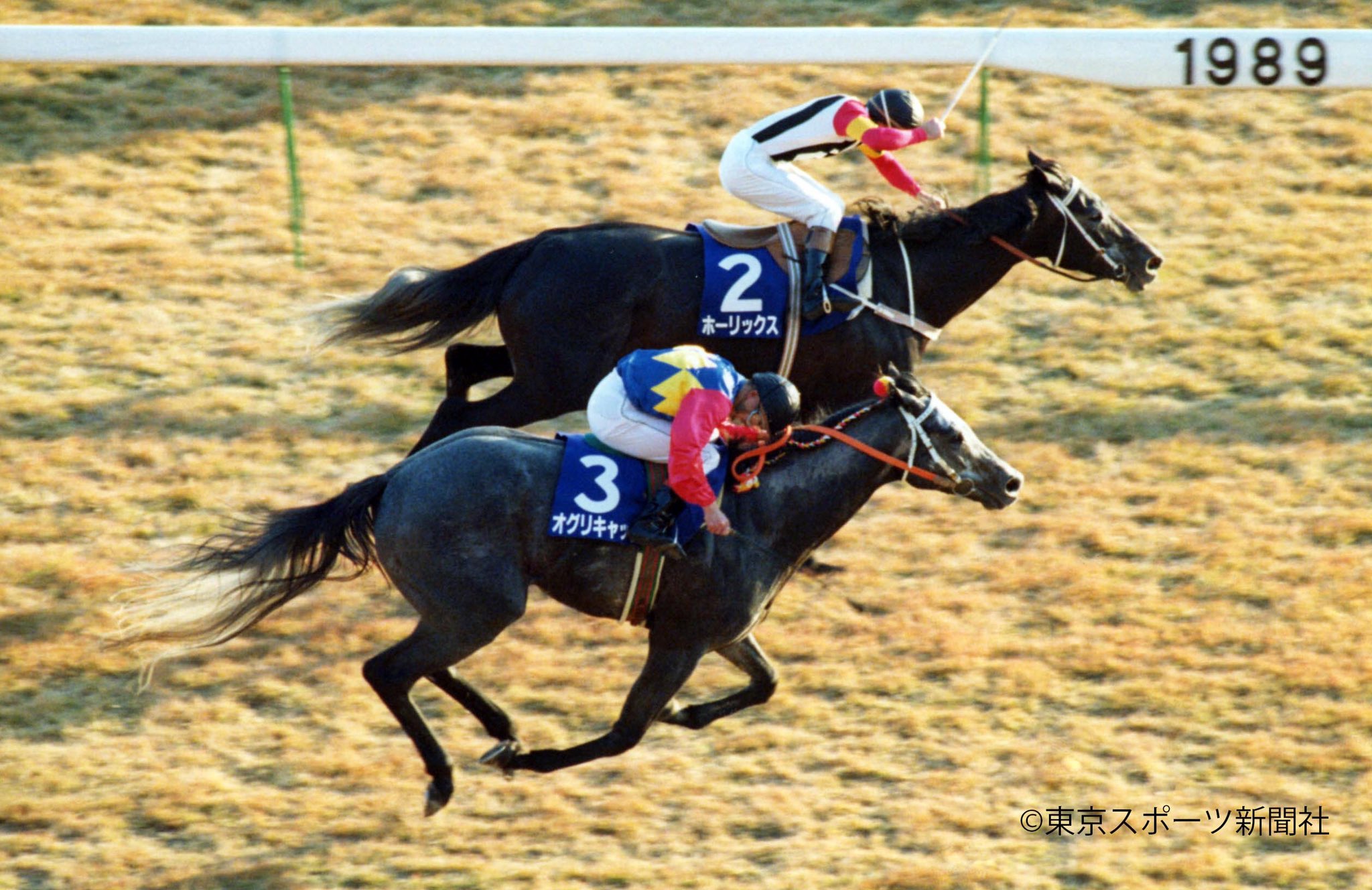 オグリキャップ 1989年ジャパンカップG1 単勝馬券【シンデレラグレイ