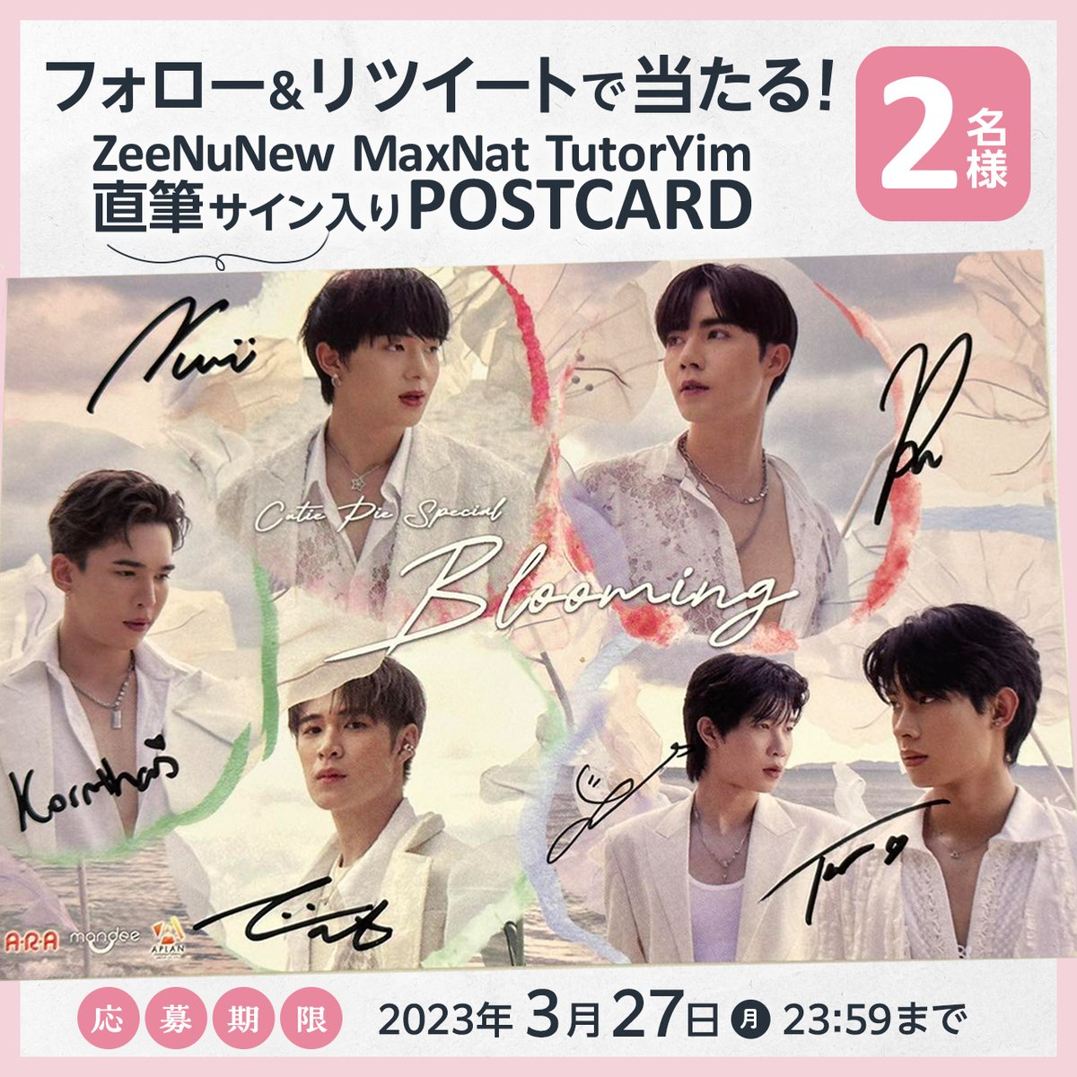 DMD ポスター直筆サインZeeNuNew maxnat