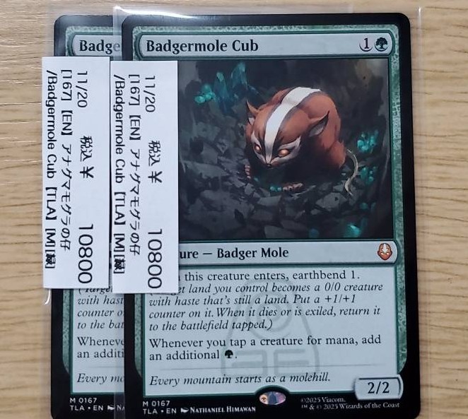 MTG アナグマモグラの仔 英語版 2枚セット アナグマモグラの仔