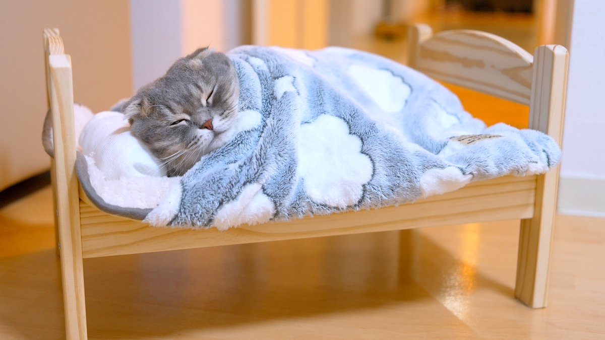 銀ちゃんねる (@ginzi_munch) / Posts / X