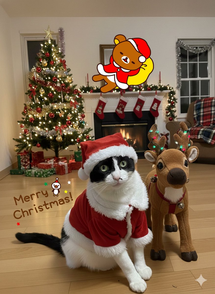 メリークリスマス🎄です♡ ぽんちゃんサンタです🎅 AIマジですごい