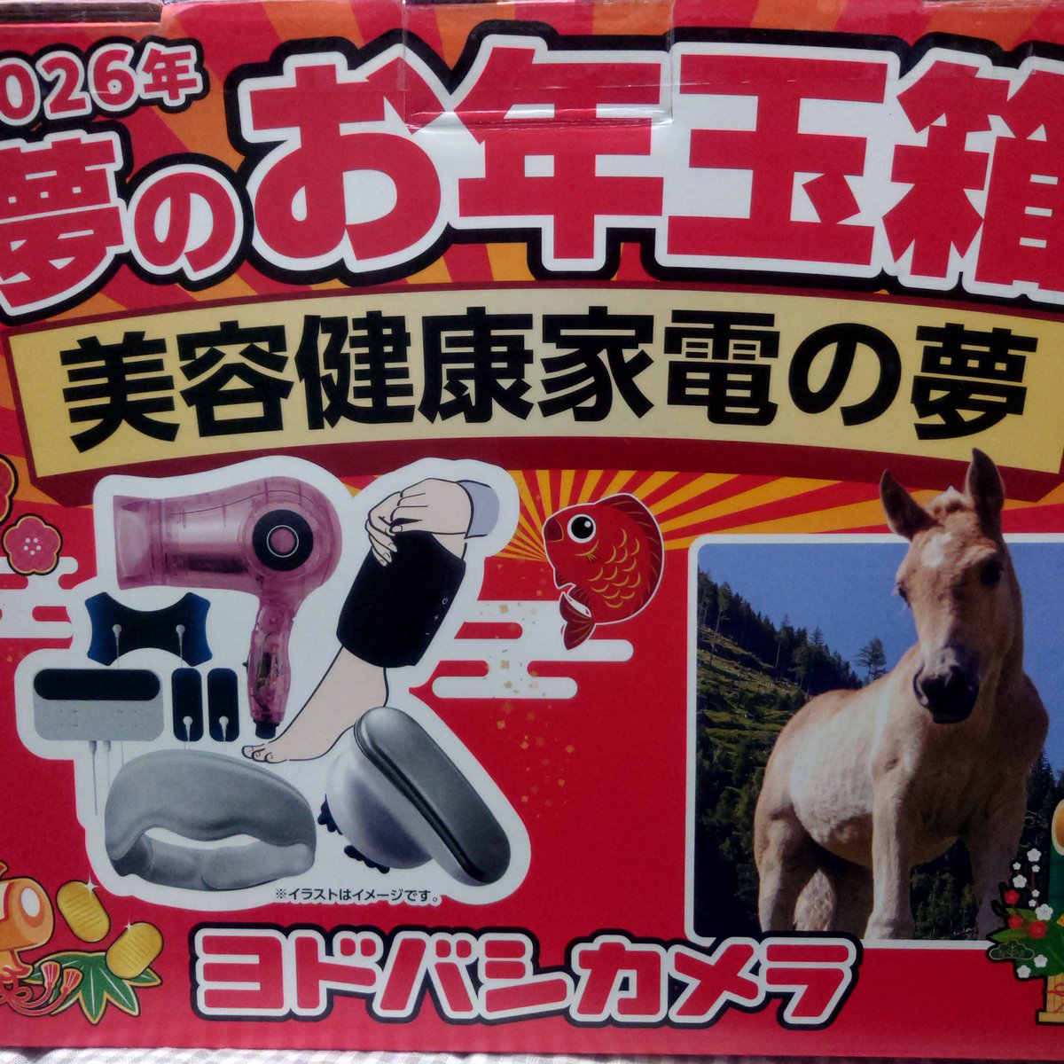 ヨドバシカメラ福袋（お年玉箱）2026 「美容健康家電の夢￥10,000