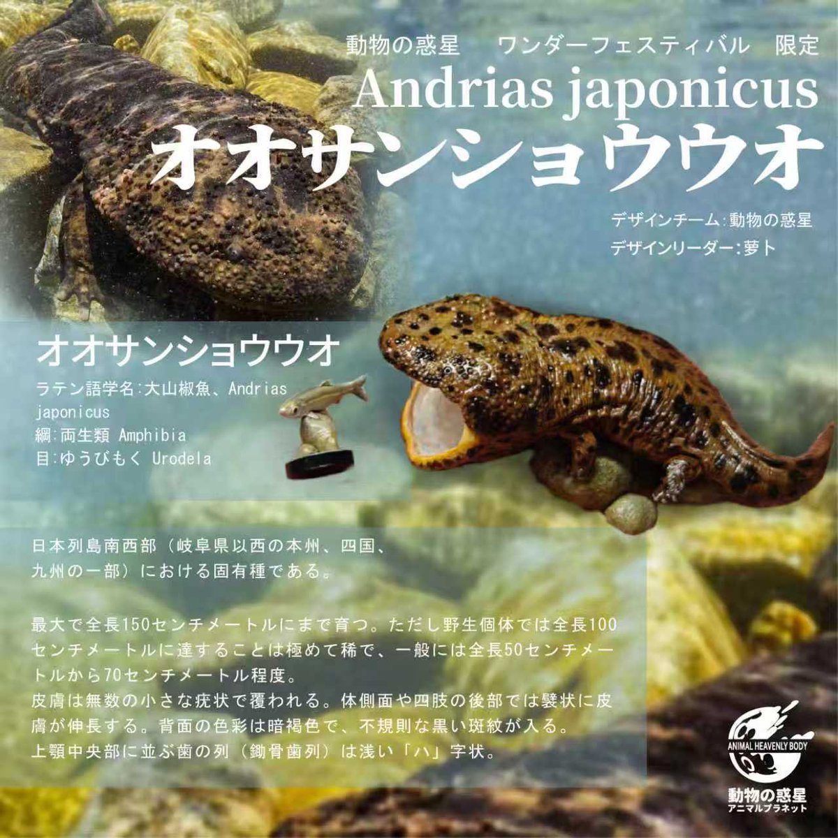 冬ワンフェス 特別販売品 発表 ワンフェス限定88体 オオサンショウウオ