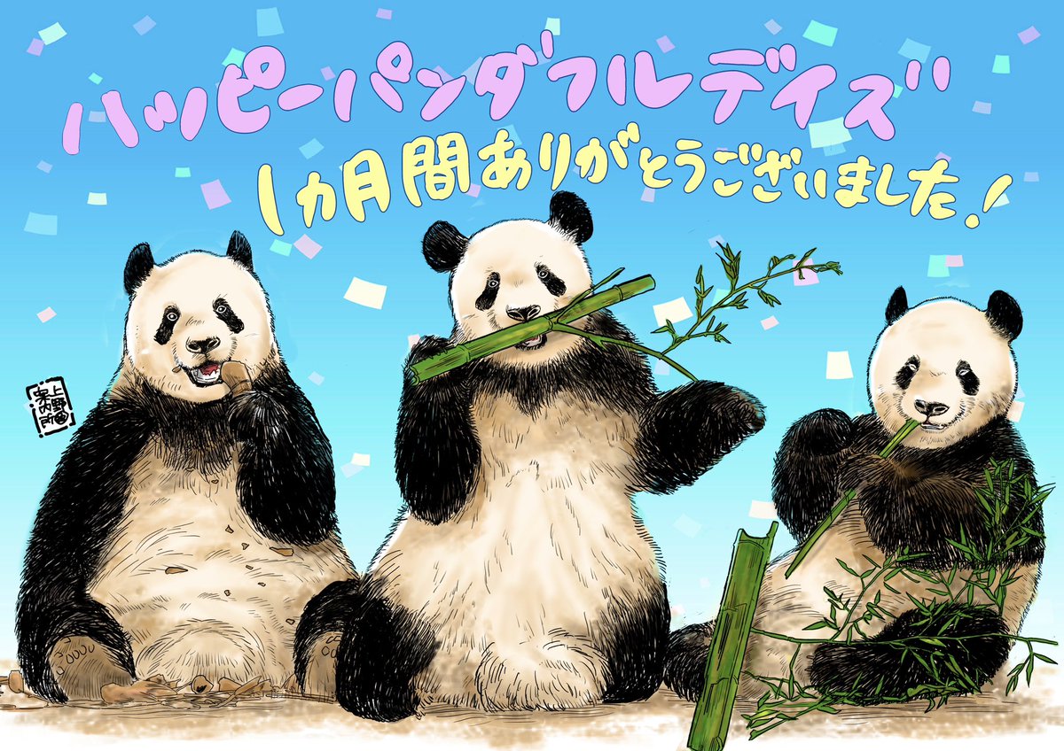 松坂屋 ハッピーパンダフルディズ 5枚セット 松坂屋 ハッピーパンダ