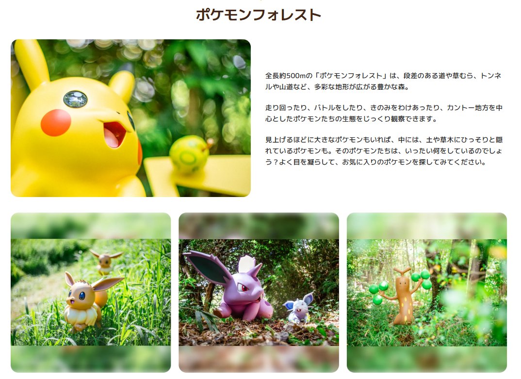 ポケモンカード　ポケパーク　まとめ